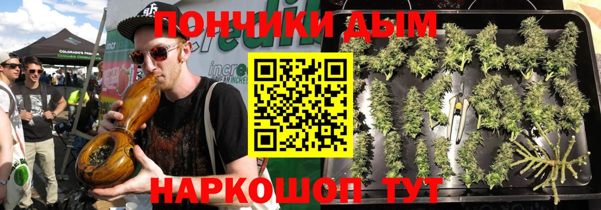 Гуково  Шишки марихуана план  Канабис индика  Шишки марихуана индика  Вход с VPN 